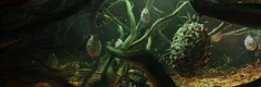 Thorns