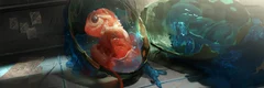 Quantum Parasites