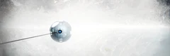 Whiteout