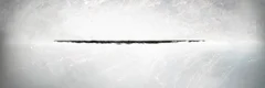 The Wall