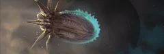 Lost Amoeba